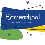 Homeschool: Intro to Birds - logo